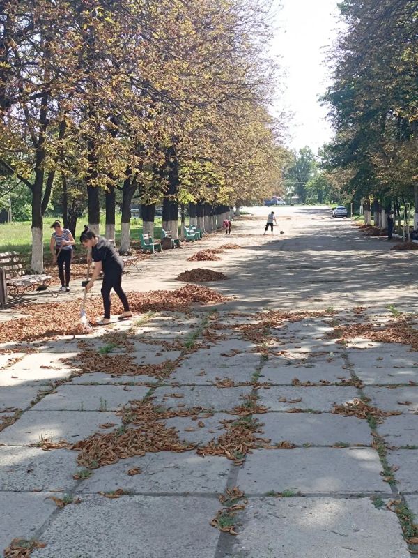 В учреждениях культуры и спорта нашего округа ведутся работы по благоустройству территорий В учреждениях культуры и спорта нашего округа ведутся работы по благоустройству территорий