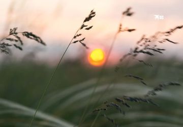 Погода в ЛНР на 7 августа: жара до +42 градусов