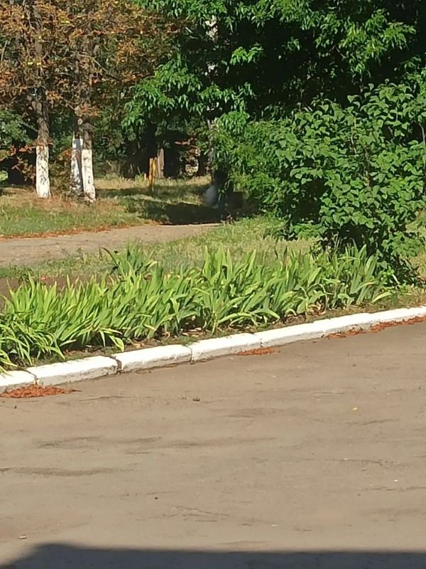 В учреждениях культуры и спорта нашего округа ведутся работы по благоустройству территорий В учреждениях культуры и спорта нашего округа ведутся работы по благоустройству территорий