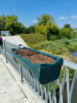 В Луганске на мосту у парка 1 Мая вандалы вырвали больше 20 кустов петунии