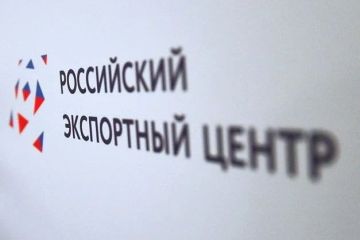 Российским экспортёрам: новый стрим с блогером Даньдань на ВЭФ