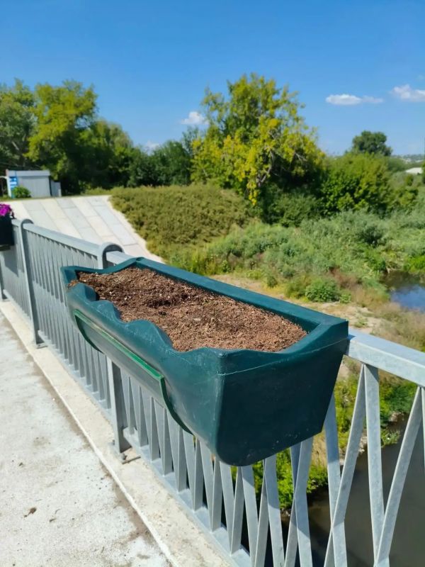 На Нижнетагильском мосту в Луганске вандалы уничтожили более 20 кустов петуний На Нижнетагильском мосту в Луганске вандалы уничтожили более 20 кустов петуний