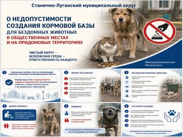 О недопустимости создания кормовой базы для бездомных животных в общественных местах и на придомовых территориях