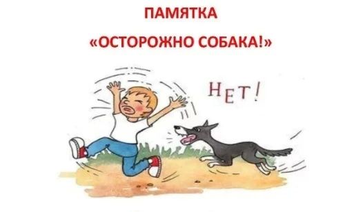 Тепловой и солнечный удар: как распознать опасность и оказать первую помощь Тепловой и солнечный удар: как распознать опасность и оказать первую помощь