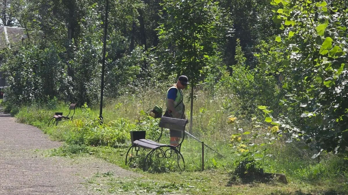 В городе Суходольске проведены работы по благоустройству В городе Суходольске проведены работы по благоустройству