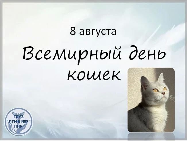 Усатые доктора: как кошки укрепляют наше здоровье