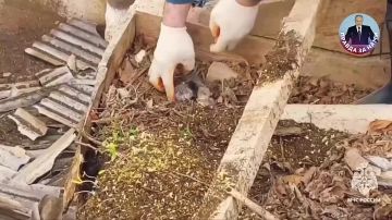 ����� ����� ���!. ��� �� ����� ������, � �������� ����� � ������������ ������� � �������� ������� �� ���! ����� ����������� ����������� �� ����� "������ �� ����": ����� ��� ������, ������� ����� � ���� ������ ����!...