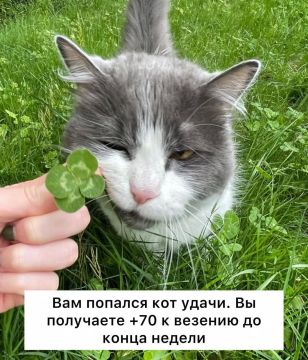 Удачу можно натренировать, — нейробиологи