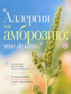 Аллергия на амброзию — это больше, чем сезонный насморк