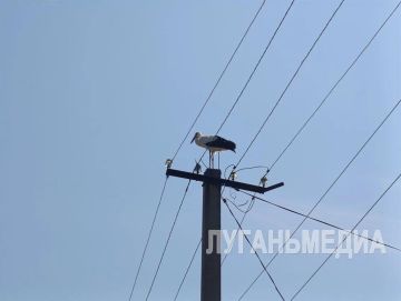���� �������� ����� ����������� ������ ������ � ����� ������� ���������