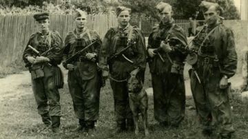 10 �������. 1944. �������� ���������-��������� �������� �� ������� ��������� ������� �� �����������