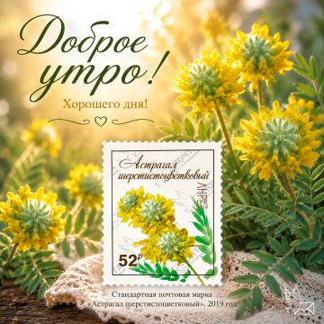 Доброе утро! Пусть сегодняшний день подарит приятные открытия, добрые слова и счастливые моменты