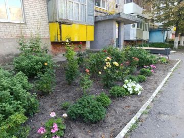 Депутаты оценивают заявки конкурса "Цветник у дома"