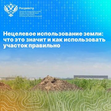 Росреестр по ЛНР: Что означает нецелевое использование земли и как правильно использовать участок?