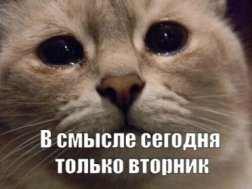 � ��� ������ ���� ������������