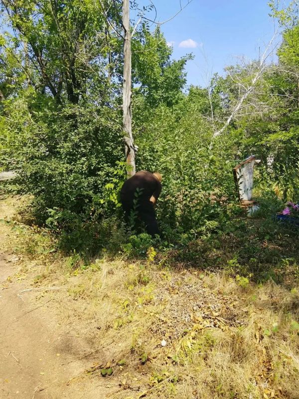 Андрей Рубанцов: Работы по благоустройству города Ровеньки продолжаются Андрей Рубанцов: Работы по благоустройству города Ровеньки продолжаются
