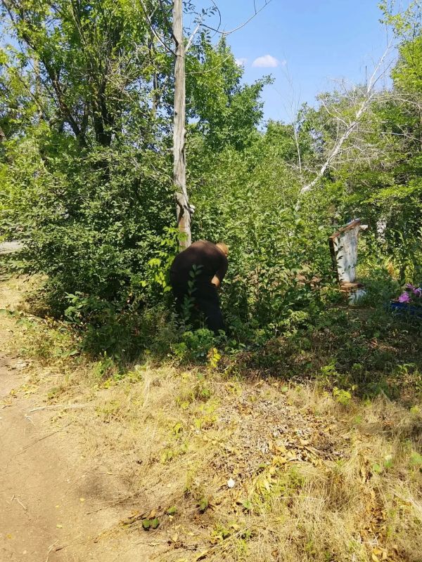Работы по благоустройству города Ровеньки продолжаются Работы по благоустройству города Ровеньки продолжаются