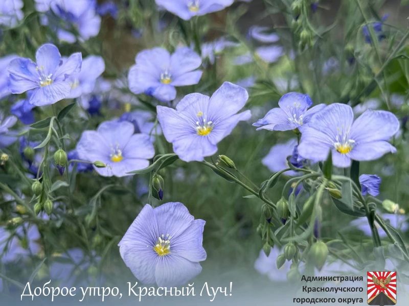 Доброе утро, краснолучане и гости города!