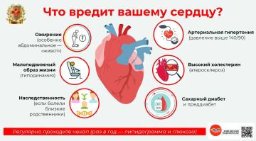 Что вредит вашему сердцу?. В рамках Недели профилактики сердечно-сосудистых заболеваний, приуроченной к Международному дню здорового сердца (11 августа), давайте поговорим о том, что ежедневно наносит урон главному «мотору»...