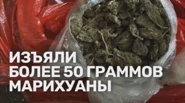 Запас марихуаны дома обернулся уголовным делом для жителя Алчевска