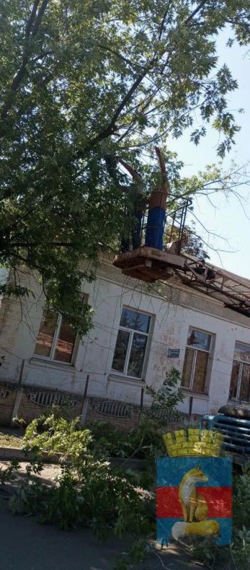 Сотрудники МБУ "КСЛ" в рамках сезонных мероприятий по благоустройству выполняют покос травы и обрезку аварийных деревьев на улицах города Лисичанска