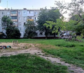 Луганчане показали ещё одни заросли амброзии — на квартале Молодёжном