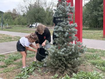 В городском парке «Красный Луч» силами неравнодушных жителей и общественных организаций проведено мероприятие по уходу за зелеными насаждениями