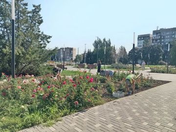 Коммунальными службами проведены работы на территории города