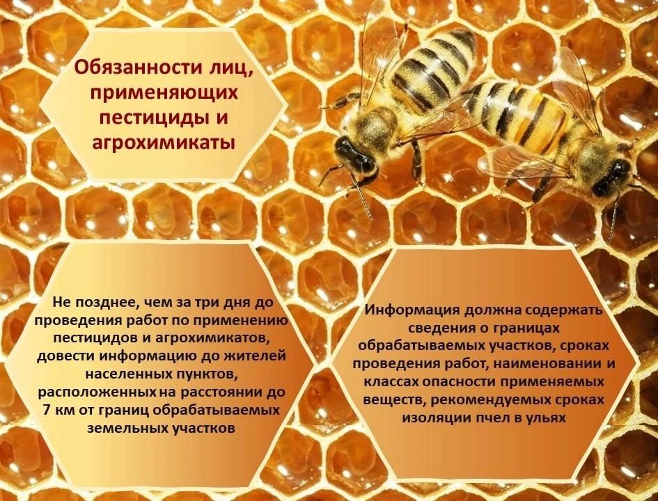 Безопасность пчёл — общая ответственность аграриев и пчеловодов Безопасность пчёл — общая ответственность аграриев и пчеловодов