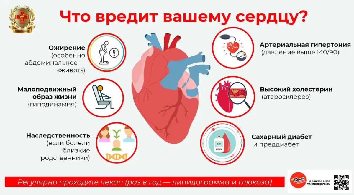 Что вредит вашему сердцу?. В рамках Недели профилактики сердечно-сосудистых заболеваний, приуроченной к Международному дню здорового сердца (11 августа), давайте поговорим о том, что ежедневно наносит урон главному «мотору»...