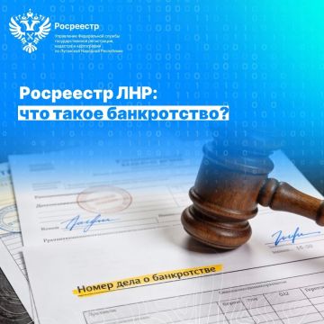 Росреестр ЛНР: что такое банкротство?