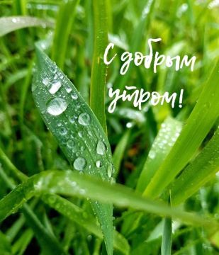 � ������ �����, ������� ������ �������������� �������������� ������!