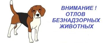 Администрация Старобельского муниципального округа напоминает, что на территории округа на постоянной основе осуществляется работа по отлову безнадзорных животных в рамках действующего муниципального контракта
