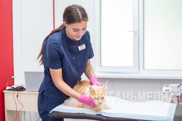 В Луганске открылся ветеринарный центр с господдержкой