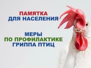 Памятка для населения о мерах по профилактике гриппа птиц