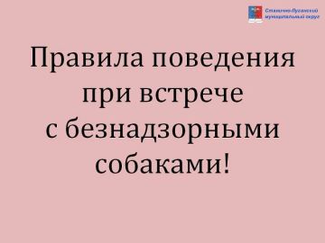 ПАМЯТКА О ПОРЯДКЕ ДЕЙСТВИЙ ПРИ ОБНАРУЖЕНИИ БЕЗНАДЗОРНЫХ ЖИВОТНЫХ