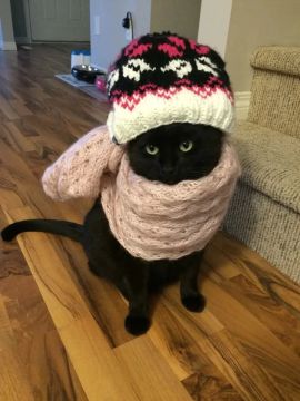 � ��� ����������� ������ �� +5�C ��� ���� �����