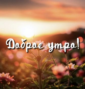 Сегодня Пятница – 14 Августа