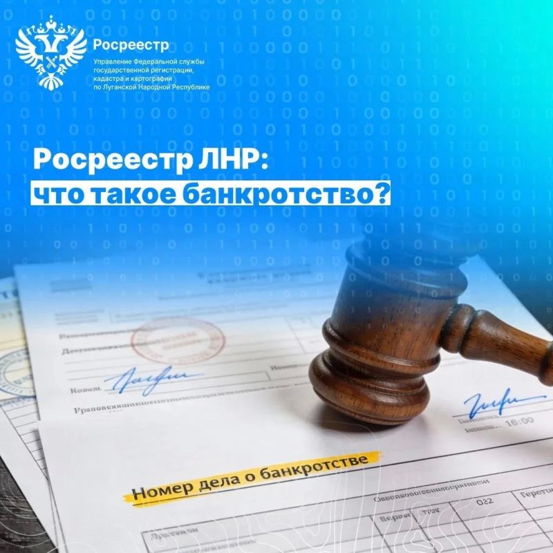 Росреестр ЛНР: что такое банкротство?