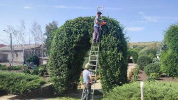 � ��� �������� ������������ ������ �� ���������������