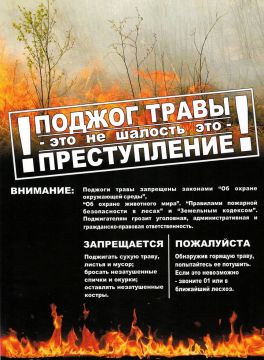 НЕ ЖГИ СУХУЮ РАСТИТЕЛЬНОСТЬ И МУСОР !