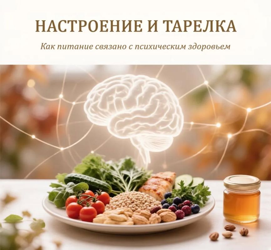 Понятным языком: настроение и тарелка