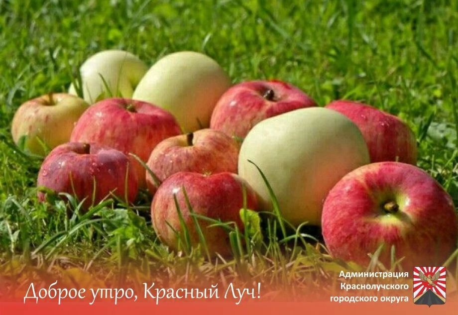 Доброе утро, краснолучане и гости города!