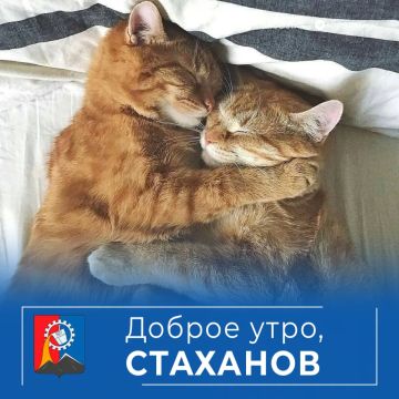 ������ ����, ������ �����!