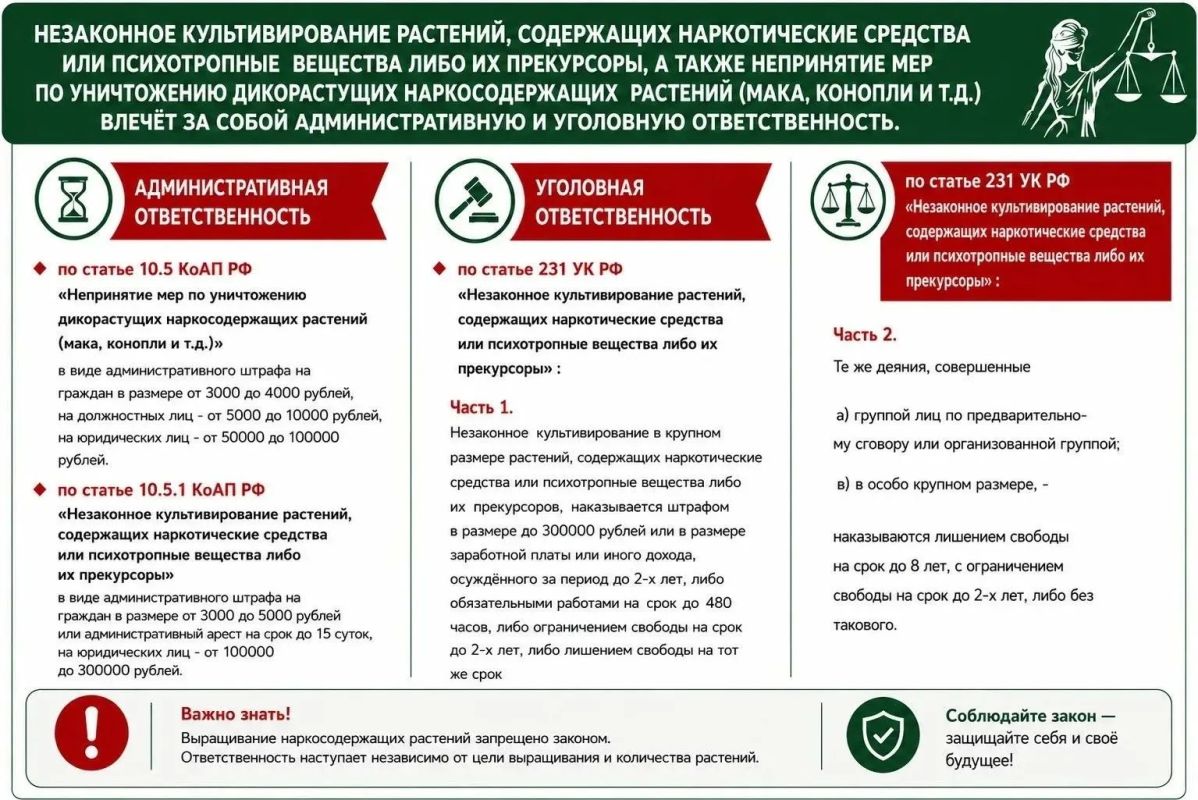 В Луганской Народной Республике стартовало оперативно-профилактическое мероприятие «Мак – 2026» В Луганской Народной Республике стартовало оперативно-профилактическое мероприятие «Мак – 2026»