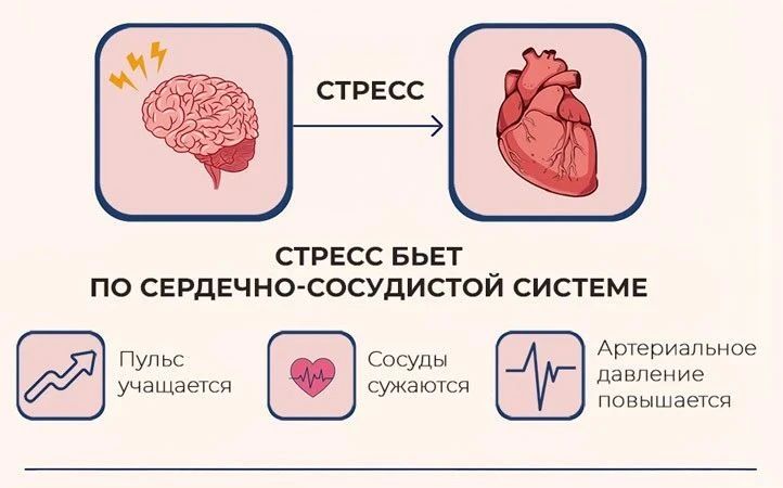 Мы говорили о движении и питании