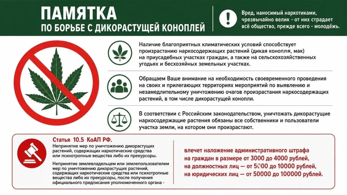 В Луганской Народной Республике стартовало оперативно-профилактическое мероприятие «Мак – 2026» В Луганской Народной Республике стартовало оперативно-профилактическое мероприятие «Мак – 2026»