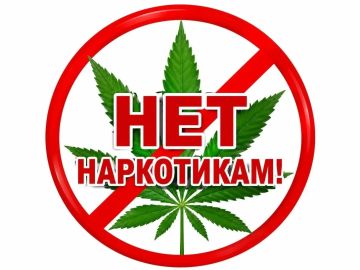 В Луганской Народной Республике стартовало оперативно-профилактическое мероприятие «Мак – 2026»