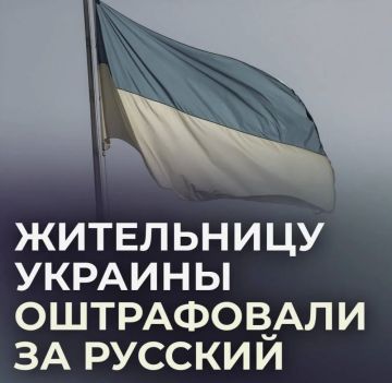���������� ����������� ������������ �������� �� ������� ����