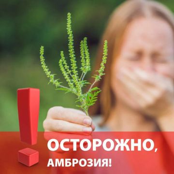 ��������: ������ ����� �� ��������, � ������ ������ ����?